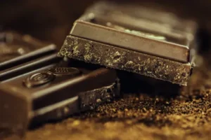 Here's How Mushroom Chocolate Elevates Your Journey One Square At A Time