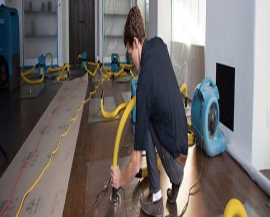 A Comprehensive Guide to Post-Flood Actions Restoring Your Home and Moving Forward