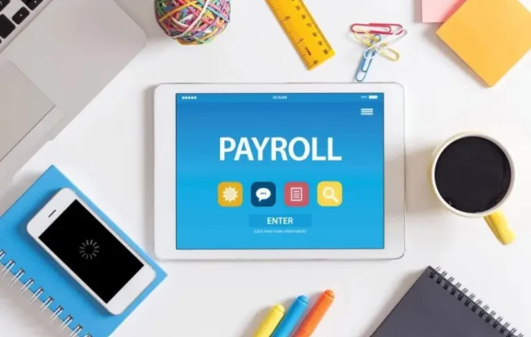 How Payroll Software Empowers Small Businesses to Thrive