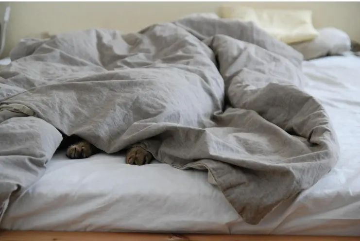 What to Do When Leg Cramps Disrupt Your Sleep
